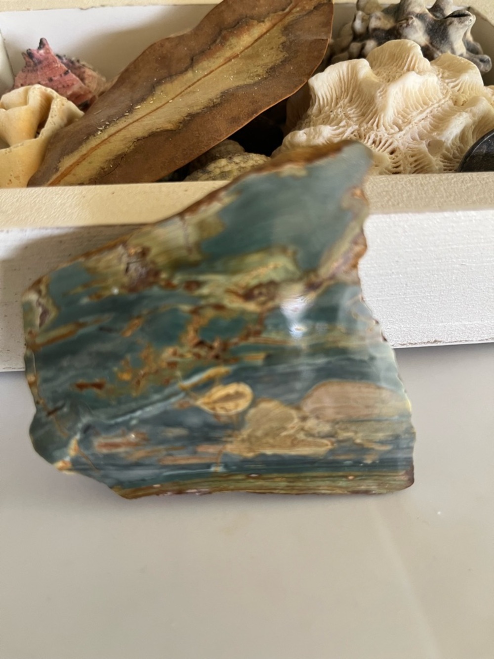 Natural Blue-Green Oregon Bogwood